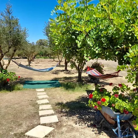 Sunshine Vasilikos (Zakynthos)