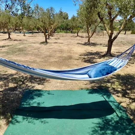 Tatil Evi Sunshine *