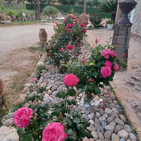 Tatil Evi Sunshine Vasilikí