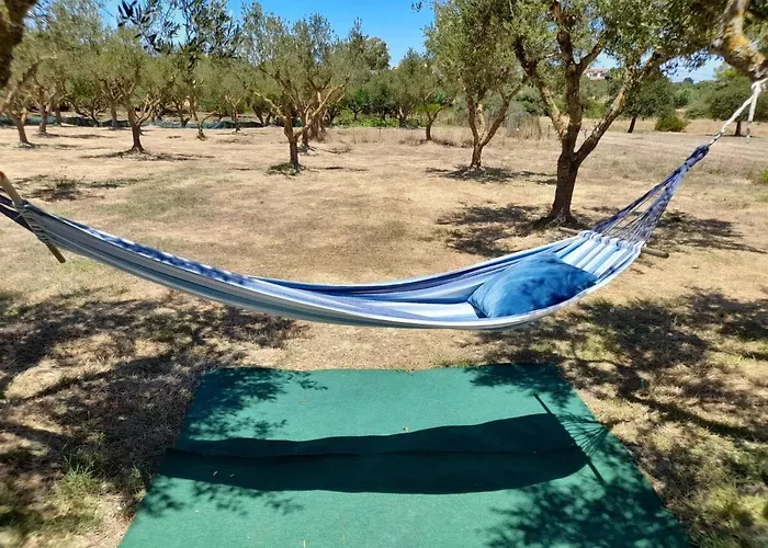 Tatil Evi Sunshine *