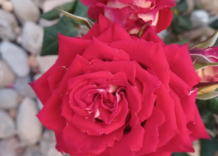 Prázdninový dům Sunshine