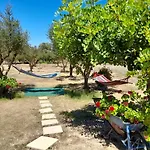Sunshine Vasilikos (Zakynthos)